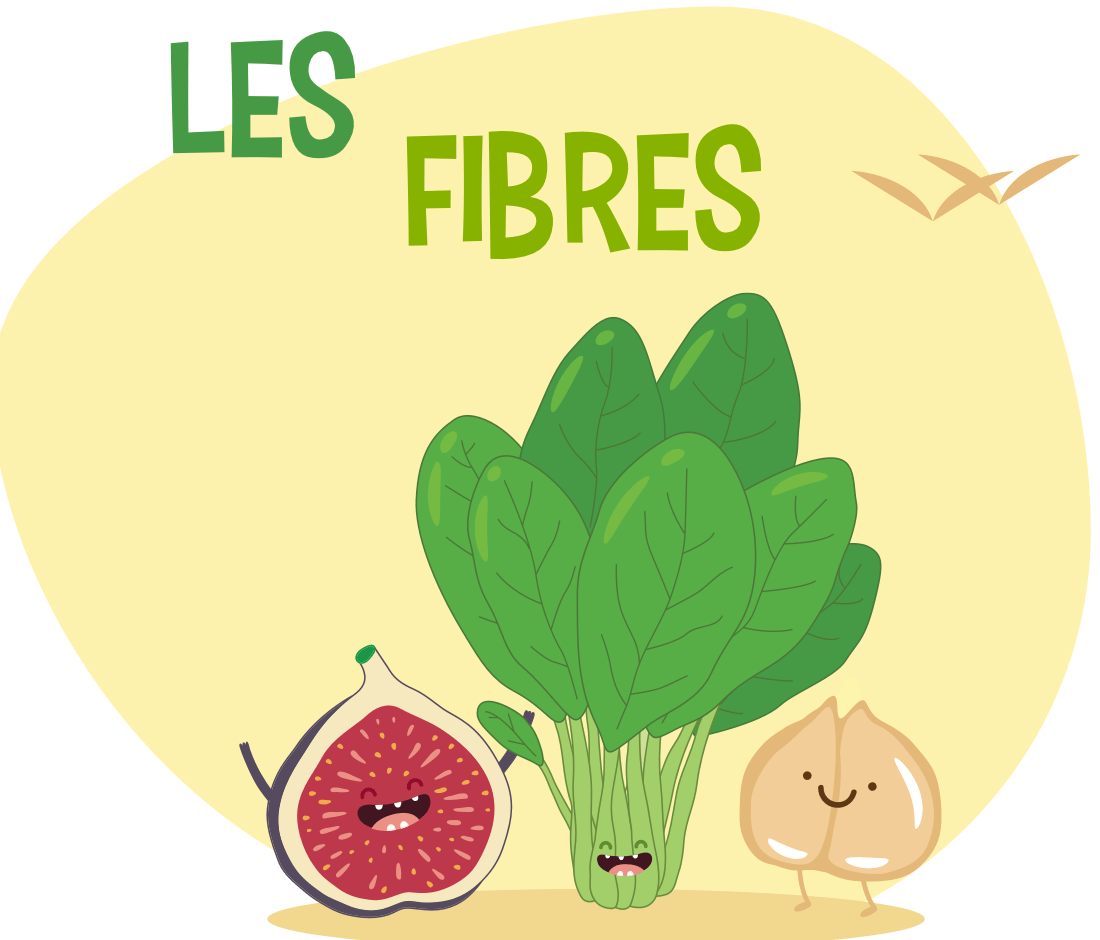 LES FIBRES ALIMENTAIRES - Nutrition