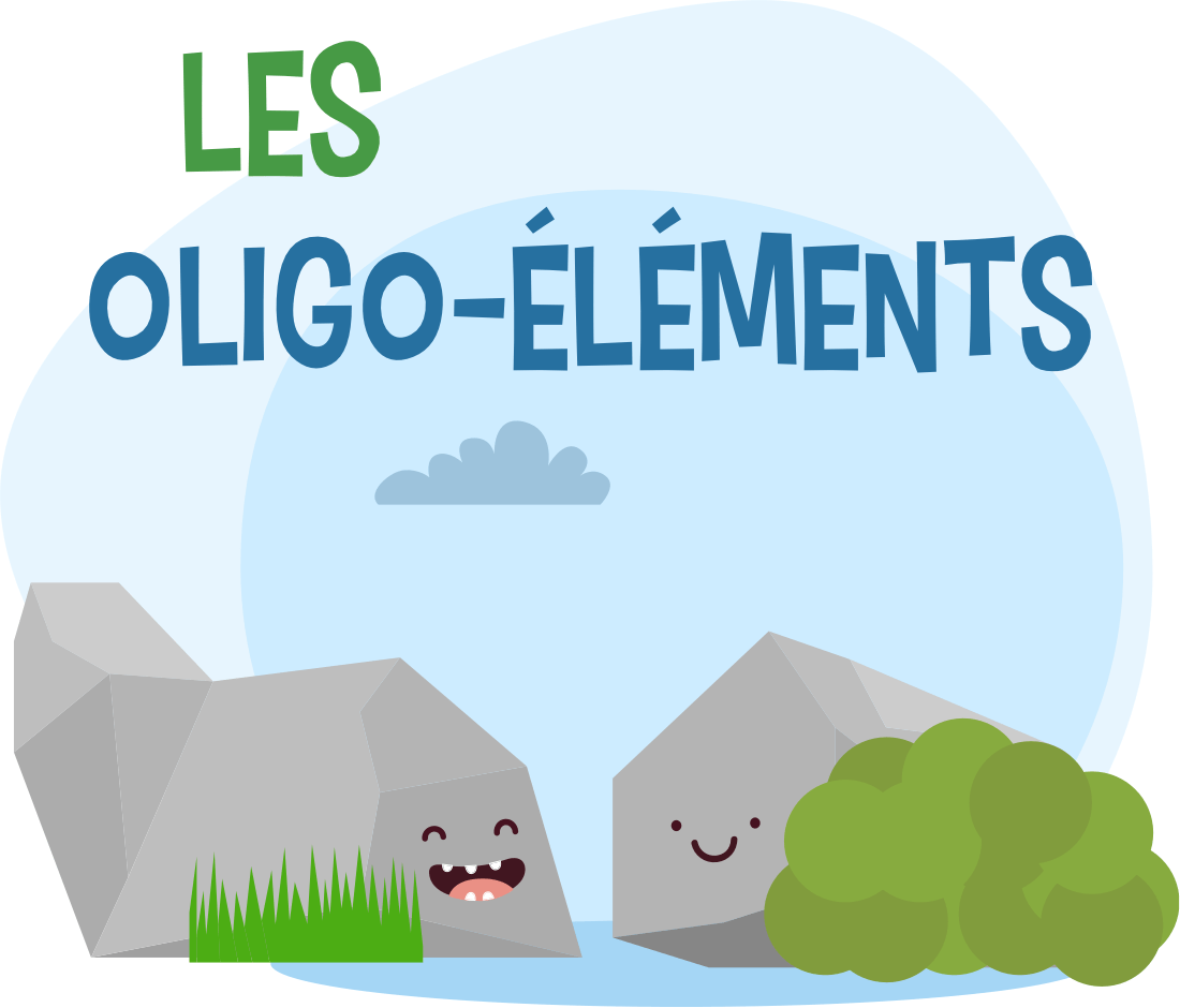 OLIGO-ELEMENTS ET SELS MINERAUX