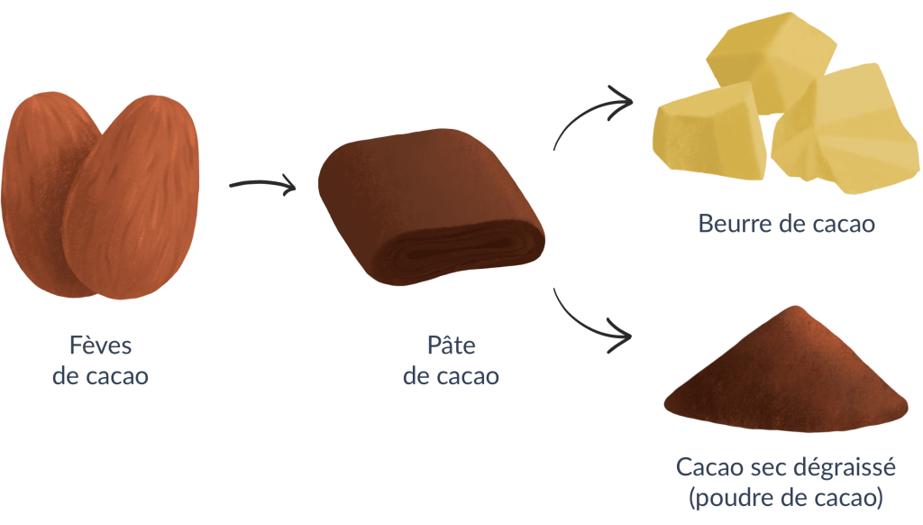 Chocolat noir (chocolats et produits sucrés)
