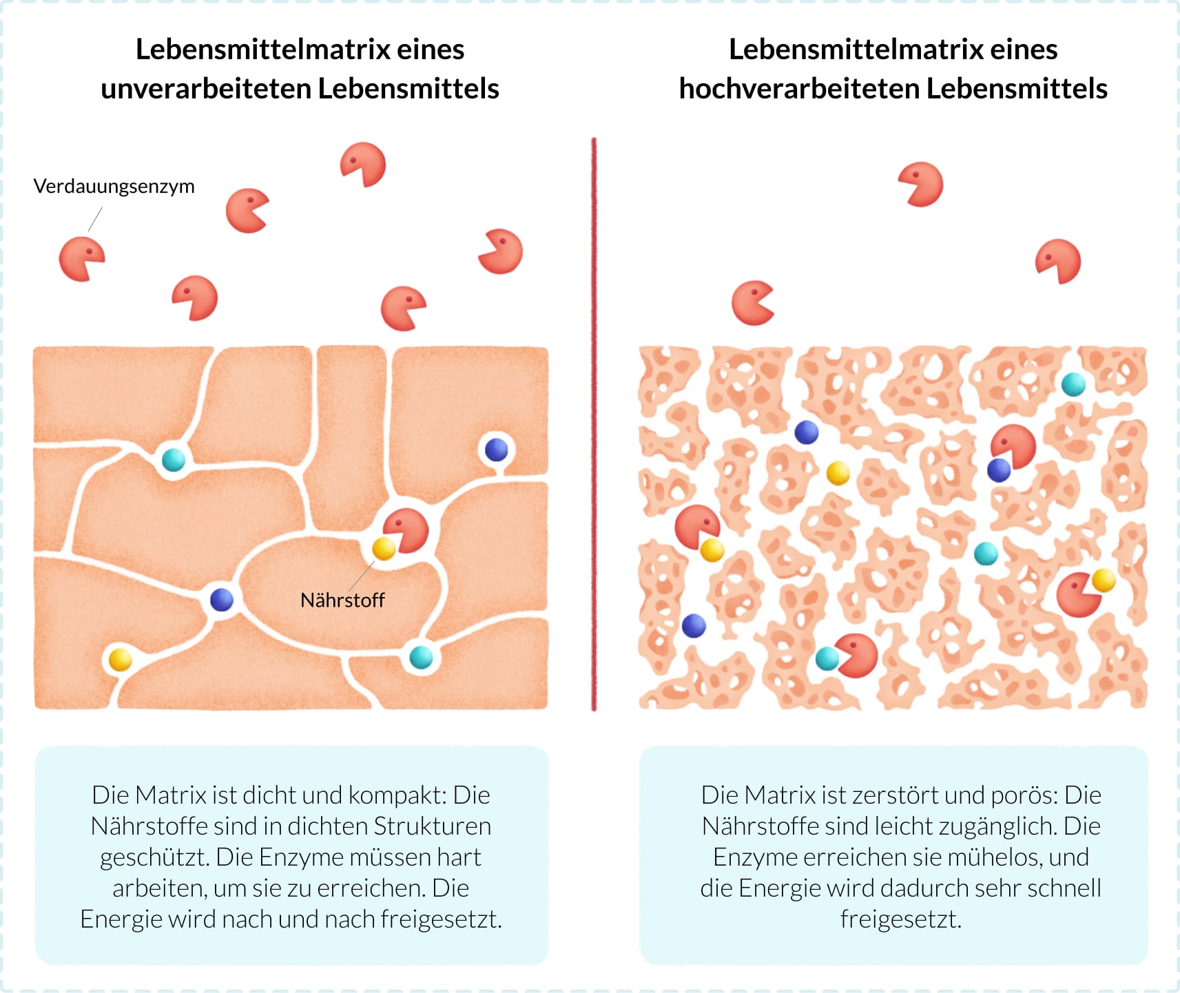 schema matrice