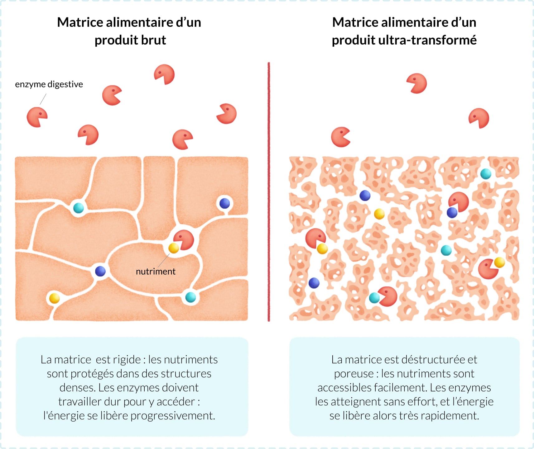 schema matrice