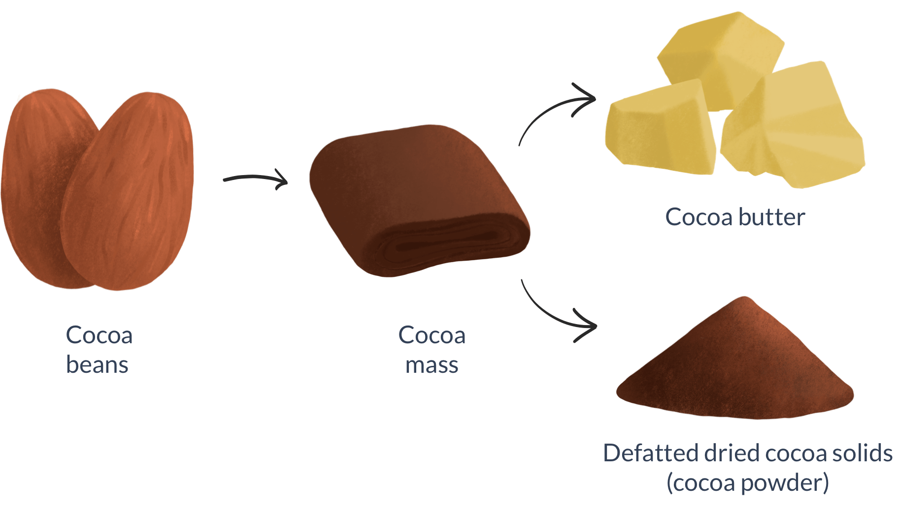 Recipe Cocoa Butter Cocoa Powder Chocolate