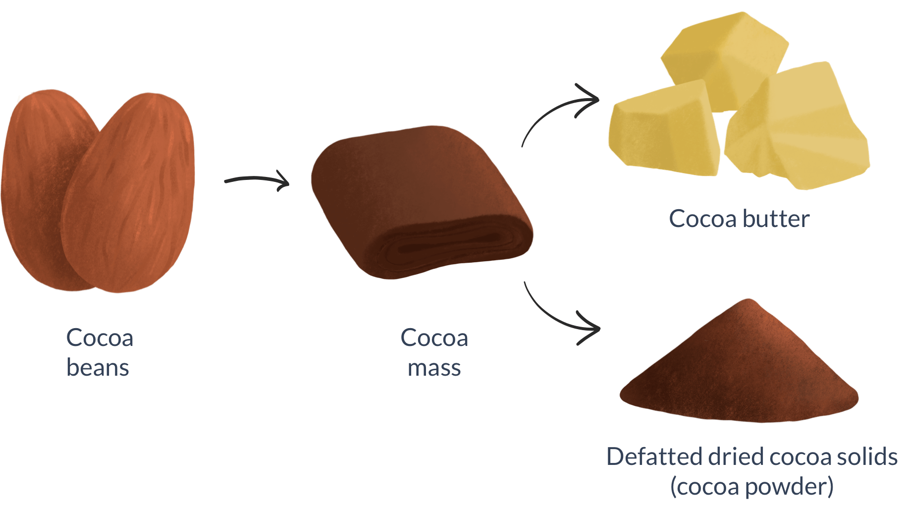 DIFFERENT TYPES OF CHOCOLATES Bake With Shivesh