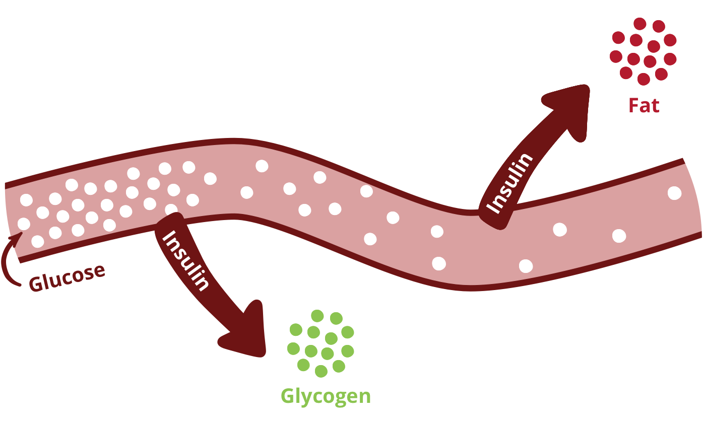 carbohydrates-yuka