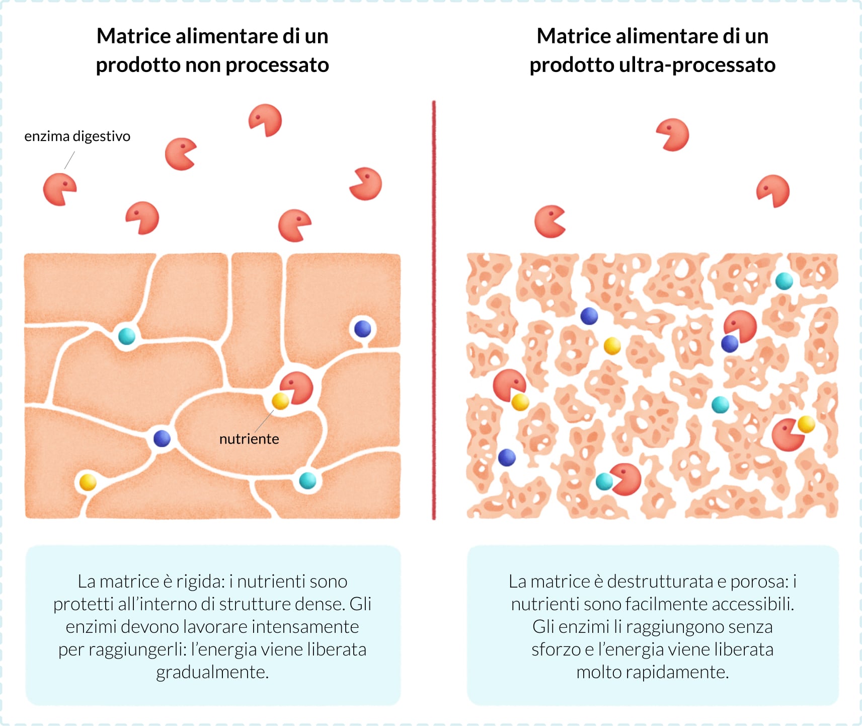 schema matrice